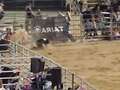 Cowboy gored to death by bull in New Year's Eve rodeo tragedy eiqekidqqiqzkprw