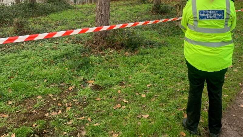 Police at the scene in Harlow, Essex (Image: Essex Police)