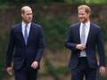 Harry makes big William admission as he says ‘it never had to be this way’