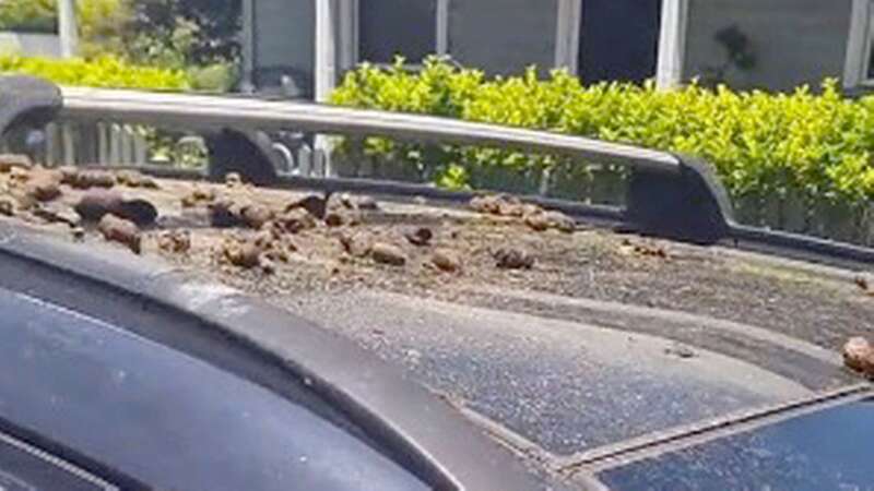 Mum films woman throwing poo and boiling water on her car in furious parking row