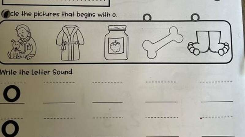 The homework asks pupils to 