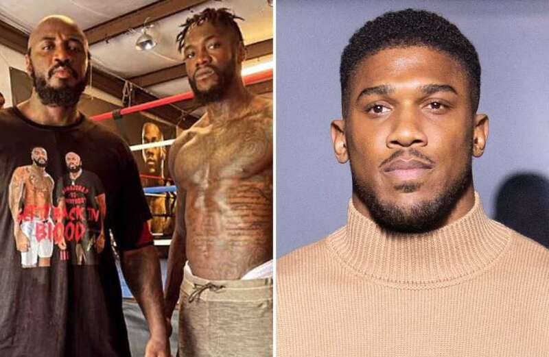 Wilder's coach questions whether Joshua is 'mentally tough' enough for fight