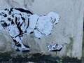 Speculation mounts over possible Banksy mural as it appears on Somerset building qhidddiqxdidqdprw