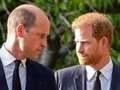 Prince Harry brands Prince William his 'arch-nemesis' in new book amid rift