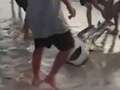 Shock moment fisherman reels SHARK in front of horrified beachgoers