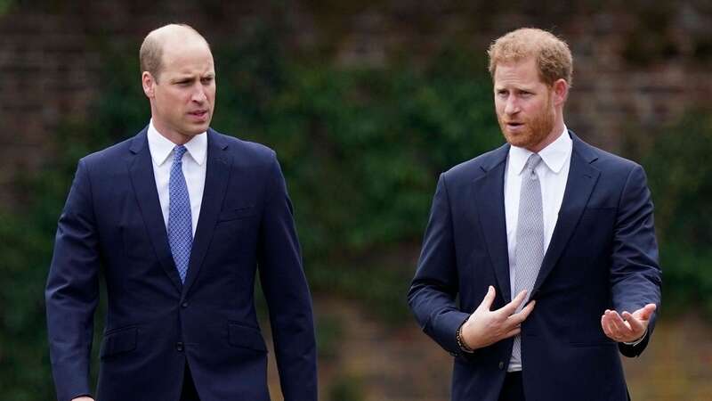 William and Harry walk and meet members of the public outside Windsor Castle in September following the death of the Queen (Image: Yui Muk/AP/REX/Shutterstock)