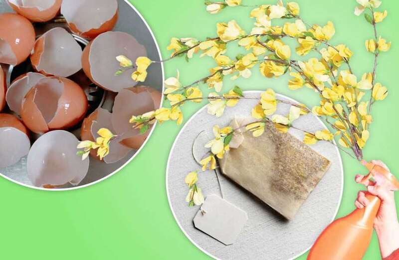 I'm a cleaning expert, here's how a teabag & lemon can save cash… & the planet