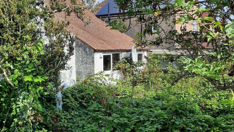 The overgrown garden in Eastbourne, East Sussex (Image: Eastbourne Borough Council SWNS)