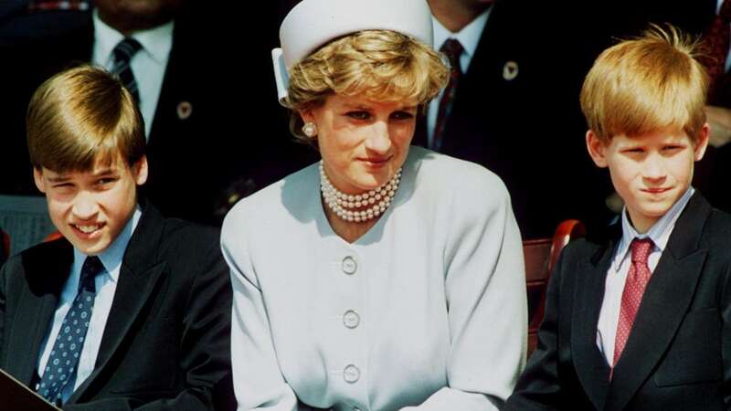 Prince Harry convinced himself Princess Diana faked her death and was in hiding