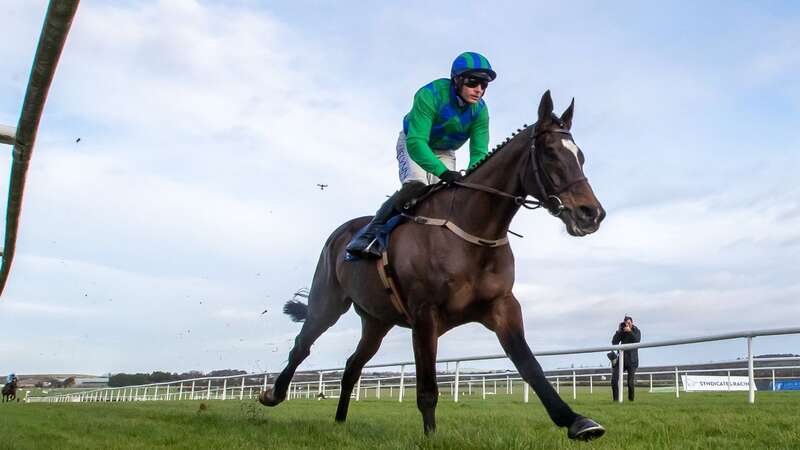 Appreciate It wins at Naas under Paul Townend (Image: ©INPHO/Morgan Treacy)