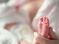 Premature baby milk used by NHS hospitals recalled over lead contamination fears eiqrtihqiuprw