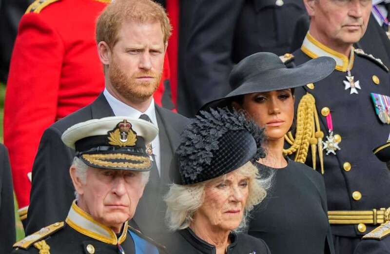 Royals 'hurt by Harry' after he blasted Camilla as 'villain', expert says