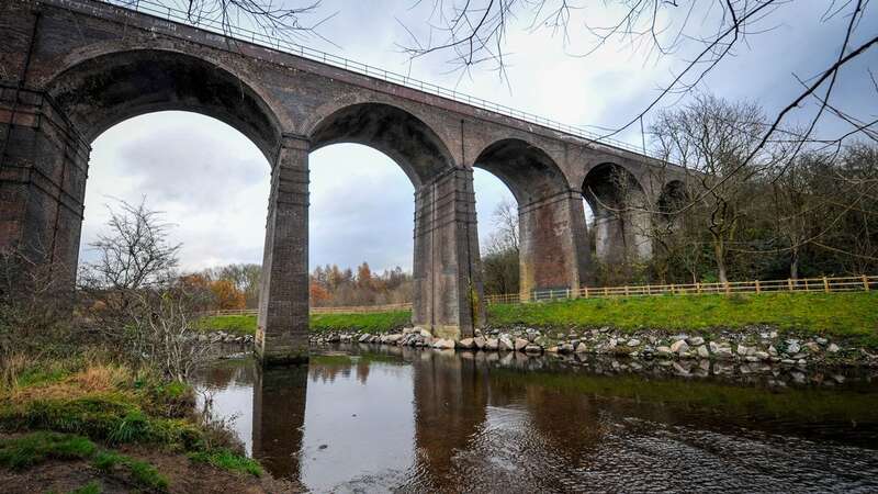 Jake Burton was found by a dog walker in Reddish Vale Country Park (Image: Vincent Cole - Manchester Evening News)