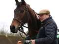 Top trainer takes blame after failing to enter co-favourite for Cheltenham race qhidqhiqdxixtprw