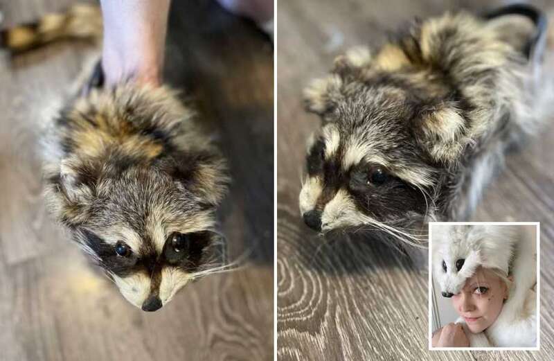 I turned racoons into SHOES with heads & fluffy tails intact - people love them