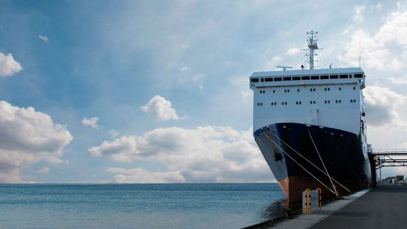 Due to the pandemic, many cruise ships are being scrapped (Image: Getty Images)