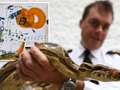 Woman with boa constrictor in her luggage said it was 'emotional support' snake qhiqqxiruixxprw