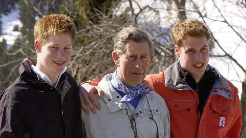 Police tell Prince Harry to stop slagging off Prince William and King Charles