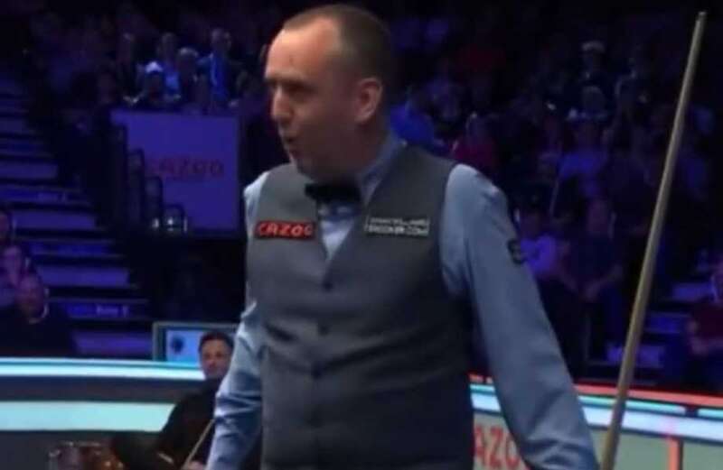 Watch wasp cause 'pantomime' mayhem at Masters snooker and attack Mark Williams