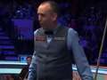 Watch wasp cause 'pantomime' mayhem at Masters snooker and attack Mark Williams