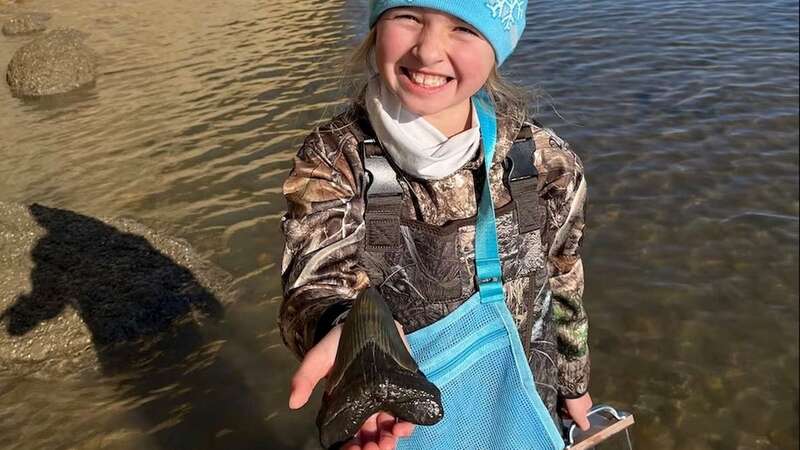 Molly Sampson, 9, found a rare 15-million-year-old megalodon shark tooth in Maryland on Christmas Day (Image: Alicia Sampson)