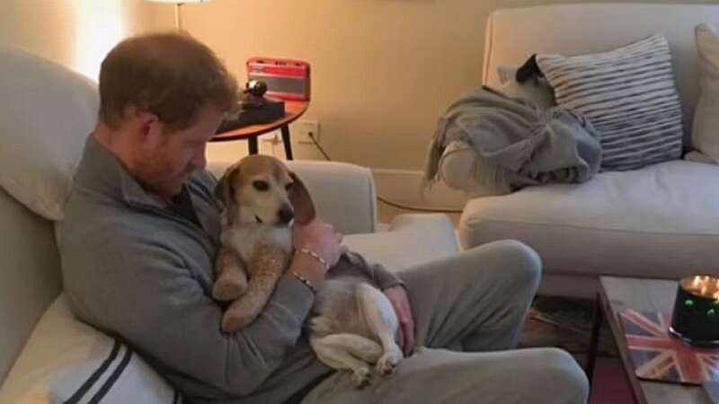 Prince Harry at home (Image: Netflix)