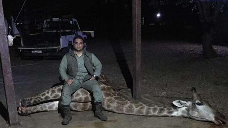 Syed sits on a giraffe he has just killed while on a hunt in Africa