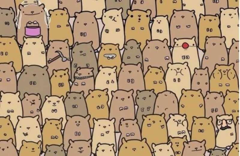 You could have a high IQ if you can spot the odd one out with these hamsters