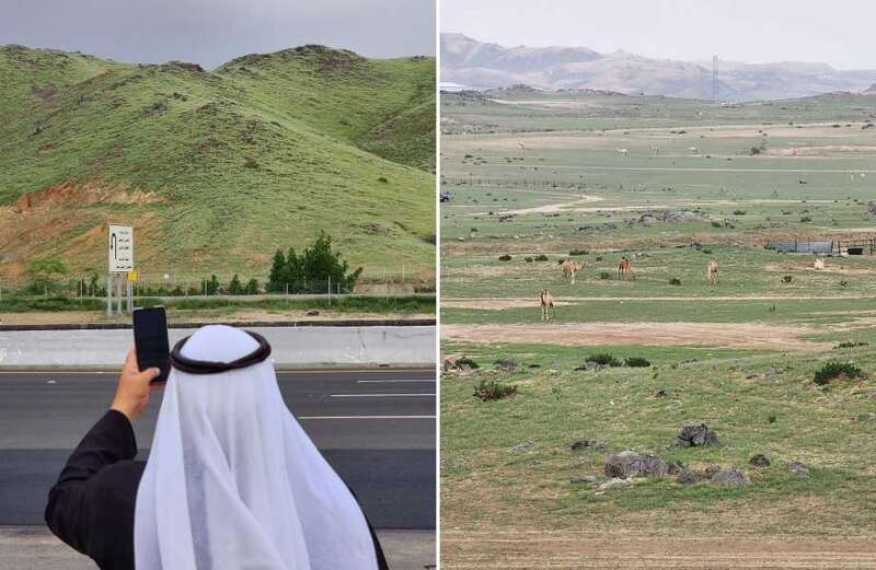 Saudi Arabia's arid deserts turn green in 'proof of Judgement Day prophecy'