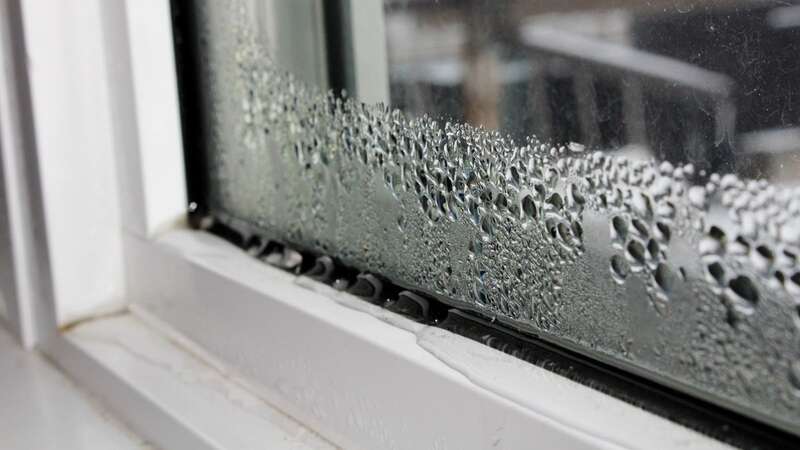 Window expert says homeowners should take note of one rule to avoid condensation