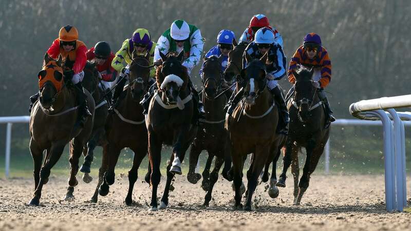 Wolverhampton hosts all-weather action on Wednesday (Image: PA)