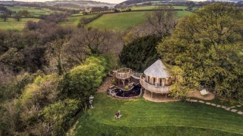 The Trewalter Treehouse is nestled in the woods in the Brecon Beacons (Image: mediadrumimages/HostUnusual)