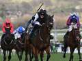 Stayers' champion Flooring Porter only "50-50" for Cheltenham after setback