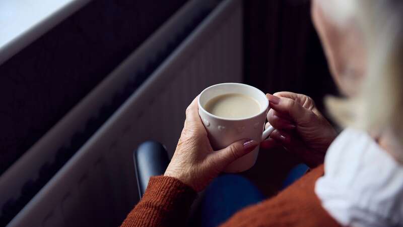 Last winter an estimated 45 people a day died because they could not afford to heat their homes (stock image) (Image: Getty Images/iStockphoto)