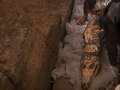 Ten crocodile mummies found by archaeologists in undisturbed Egyptian tomb eiqrkikeizprw