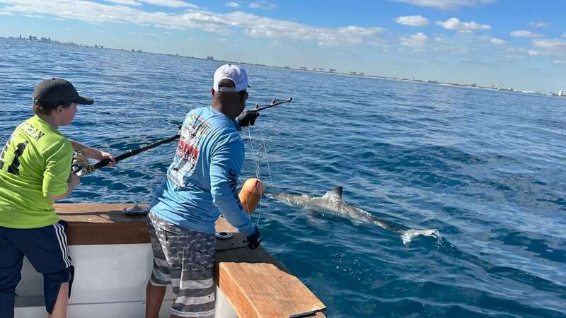 A 12-year-old boy caught a great white shark while fishing off the coast of Florida (Image: Colleen Keenan/Youtube)