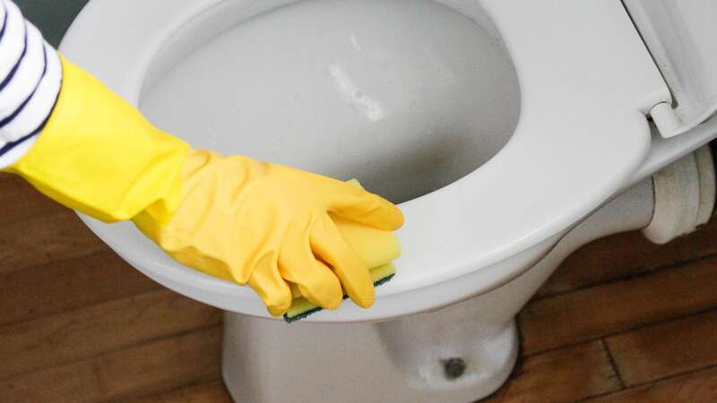 This product should stop your loo seat from staining in the future (stock photo) (Image: Getty Images)