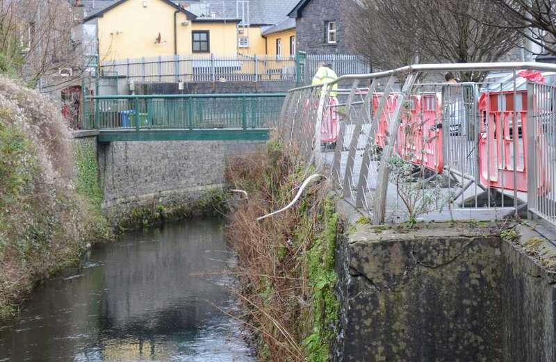 Woman dies after 'reversing car into river' in freak drowning accident