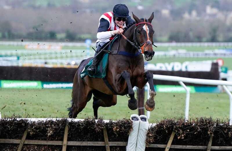 Cheltenham Festival racegoers peeing in streets face splash-back walls