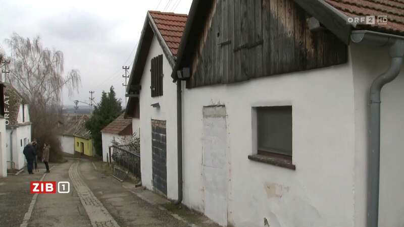 The children, aged under five, were discovered at the illegal hideout in the village of Orbritz (Image: OrfTV)