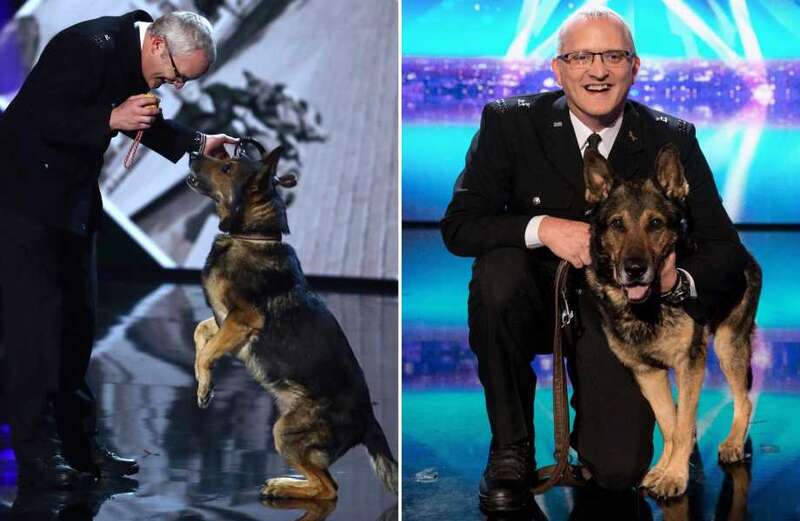 BGT star police dog handler has animals seized in 'illegal breeding inquiry'