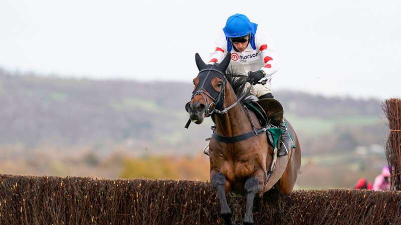 Protektorat, part-owned by Sir Alex Ferguson, was a disappointing fourth at Cheltenham on Saturday (Image: PA)