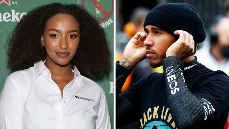 Lewis Hamilton is regularly subjected to racist abuse on social media (Image: Getty Images)