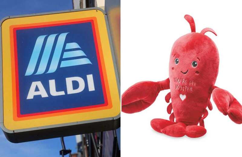 Aldi shoppers racing to buy ‘cute’ £3.99 Jellycat dupes which cost up to £75