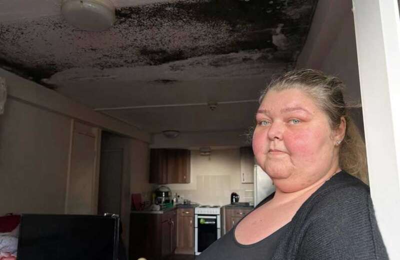 I'm a traveller mum - I've been forced to live in a mouldy council flat