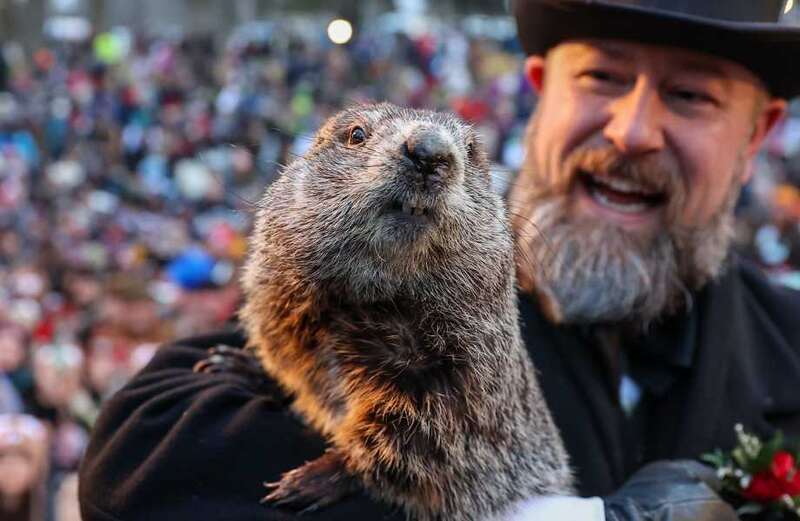 Groundhog Day is tomorrow – but 7 other animals also have predictions