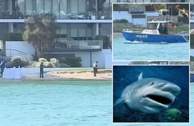 Girl, 16, killed by shark as she jumped off jet ski after spotting dolphins