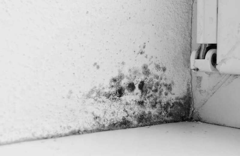 Nutritionist reveals five ‘normal’ things which might indicate mould poisoning