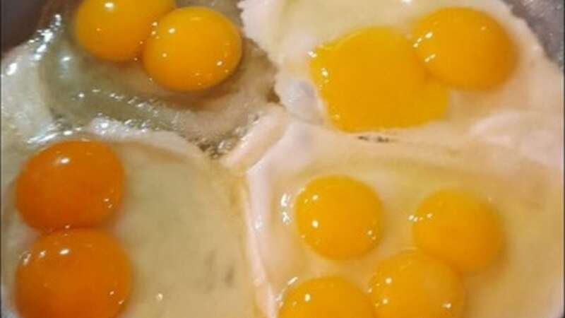 The 10-yolk wonder was a sight to behold (Image: Kennedy News and Media)