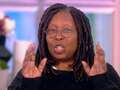 The View's Whoopi Goldberg demands viewers stop 'ruining the fun and jokes'